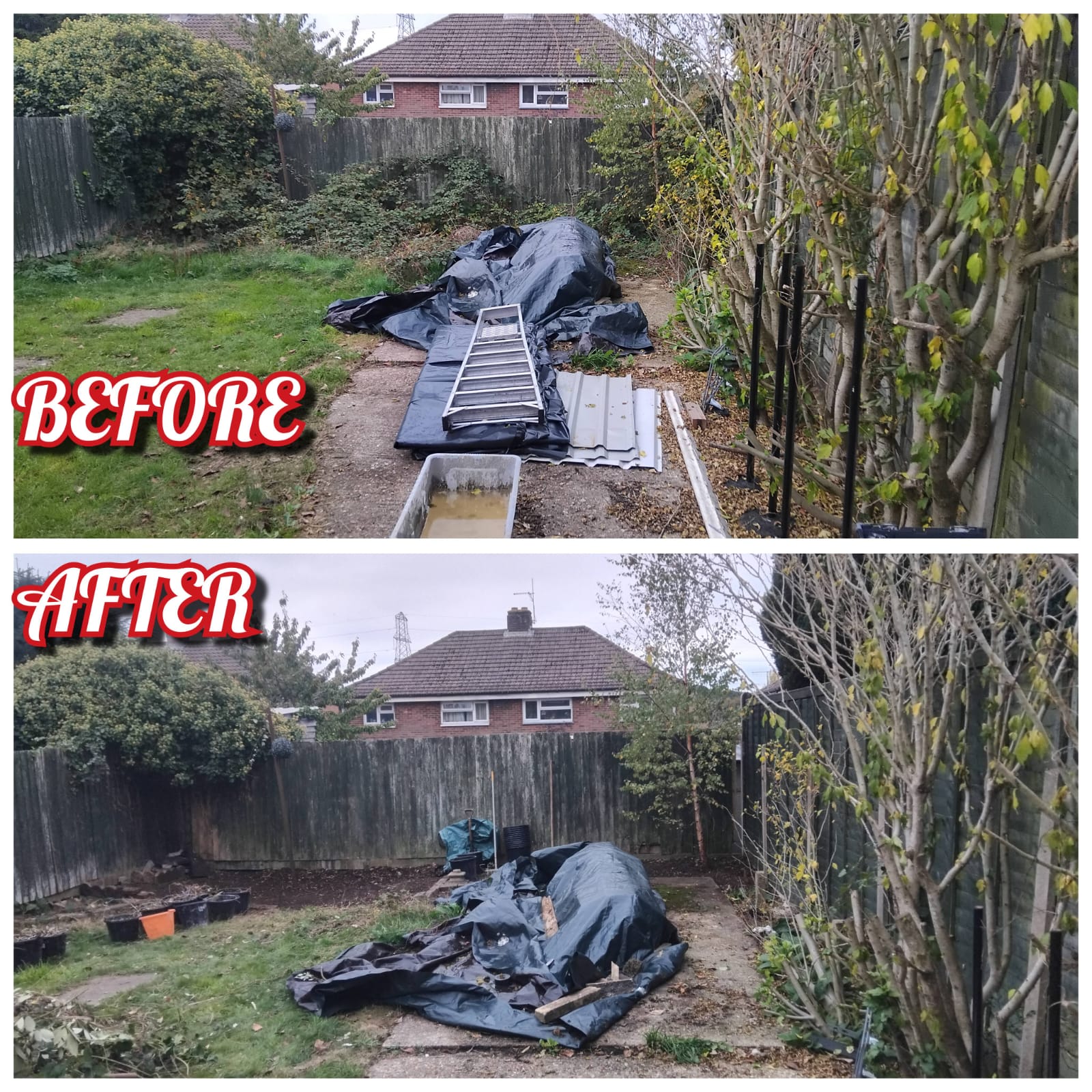 Before and after — Project 31