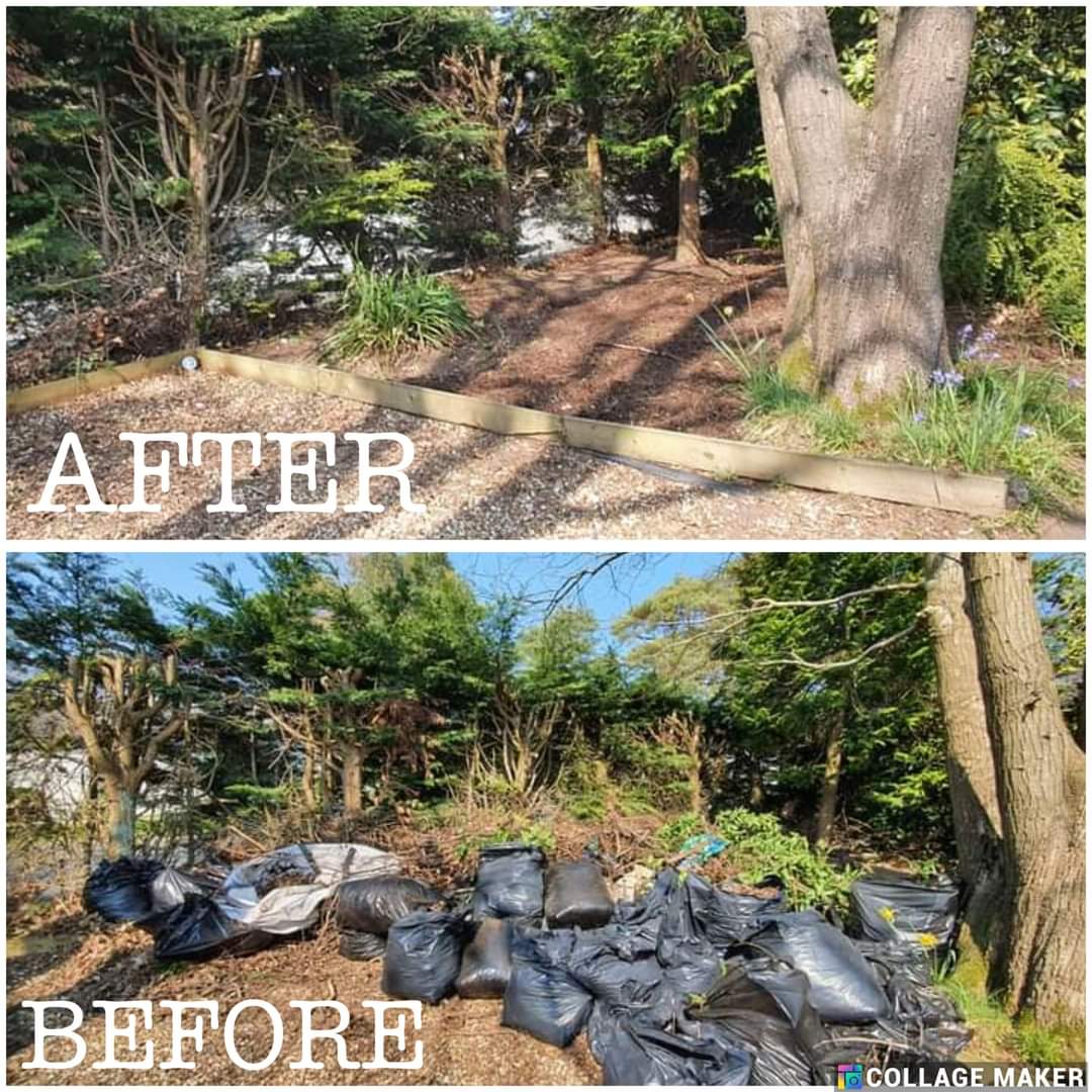 Before and after — Project 35